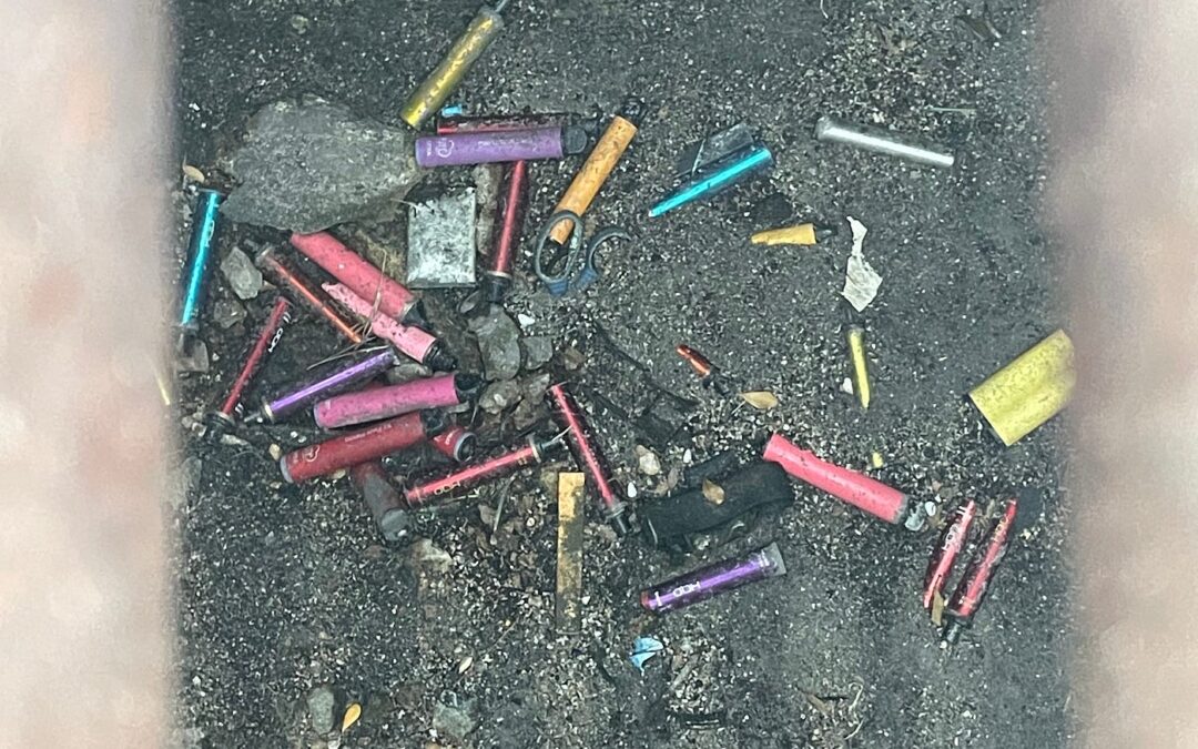 Your Old Vape Just Killed a Fish